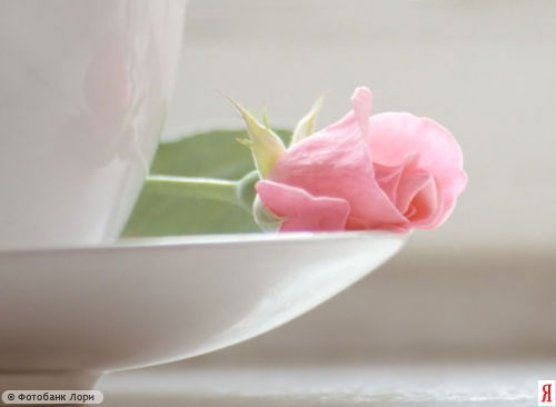 Ирина Трущева