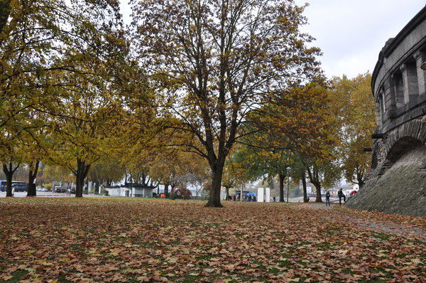 Аня Дементьева