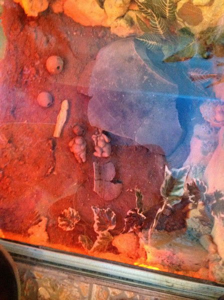 Людмила Тагирова