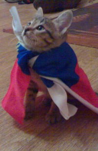 Динис Каримов