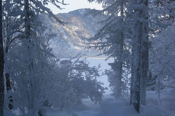 Сергей Лоскутов