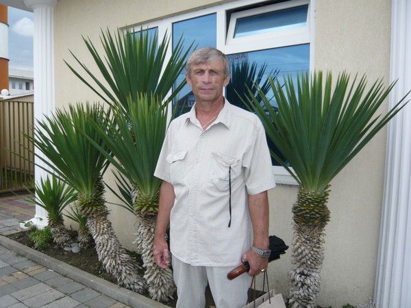 Анатолий Ачкасов