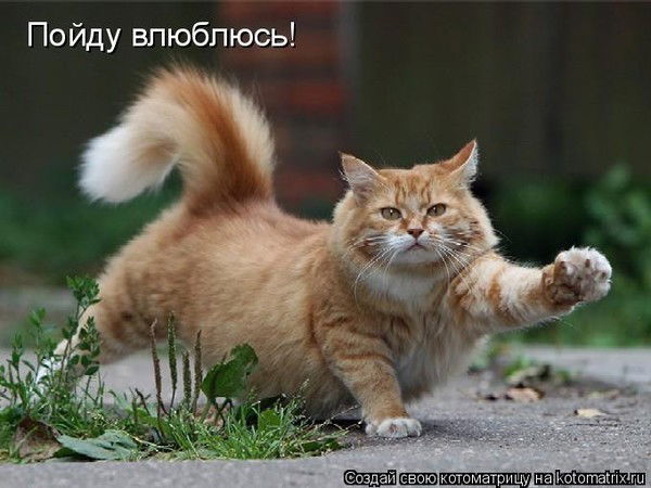 Владимир Владимиров