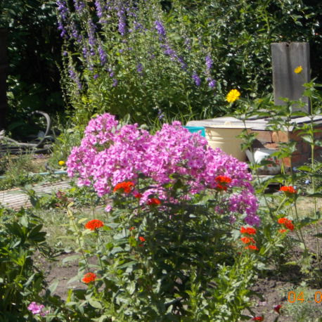 Людмила Погунеева