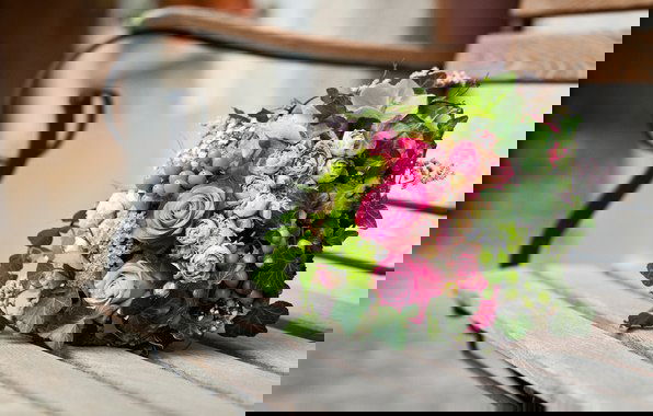 Татьяна Таничка