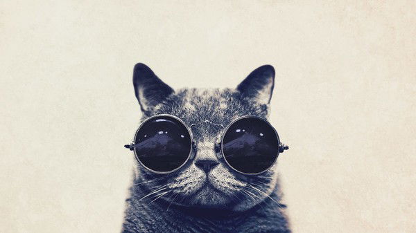 Кузнецов Егор