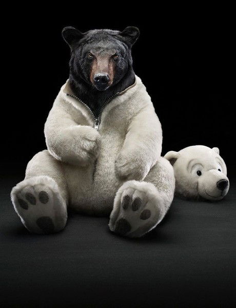 Михаил Поснов