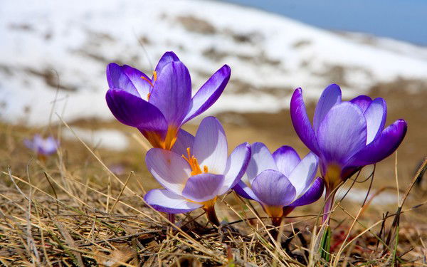 Татьяна Андреева