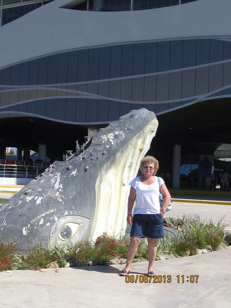 Елена Косова