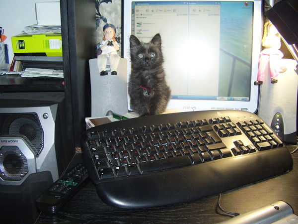 Наталья Холодилина