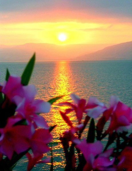 Аида Ержигитова