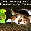Игорь Пирогов