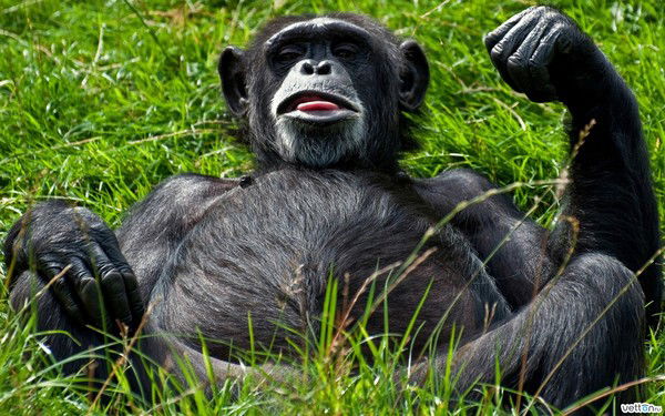 Эдуард Лаажап