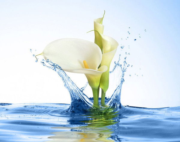 Акмарал Сыздыкова