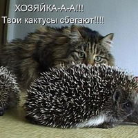 Павел Кумской