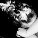 •°•° Metalla •°•°