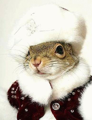 Диана Тахаутдинова