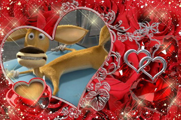 Ольга Кукина