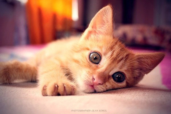 Виктория Авцинова