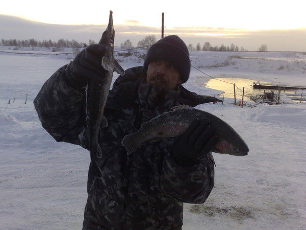 Андрей Клоков