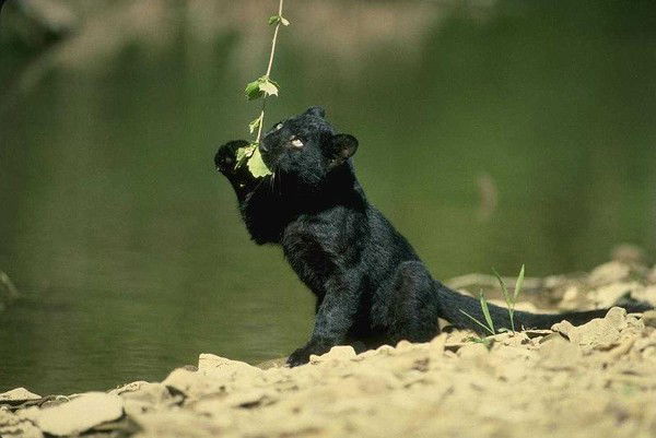 Виктория Демьянкова