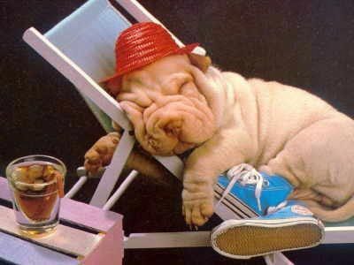 Наталья Черний