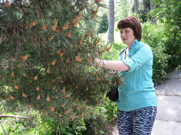 Анна Бозина