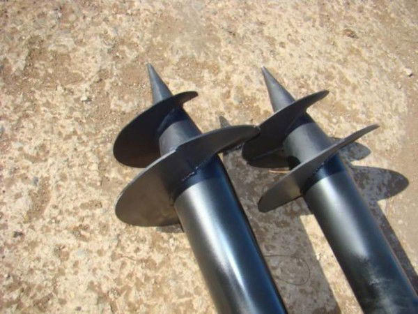 Алексей Кулешов