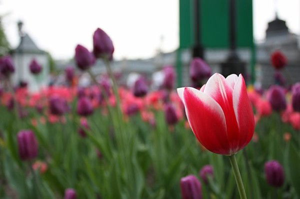 Кристина Яблочкина