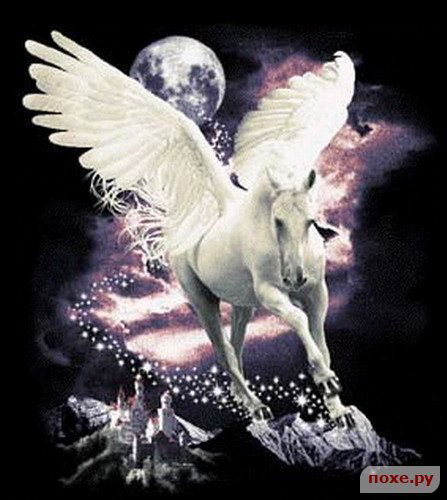 Ольга Старикова