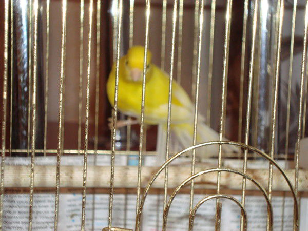 Дарья Савкина