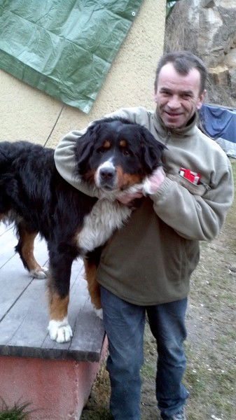 Volodymyr Ostapovych