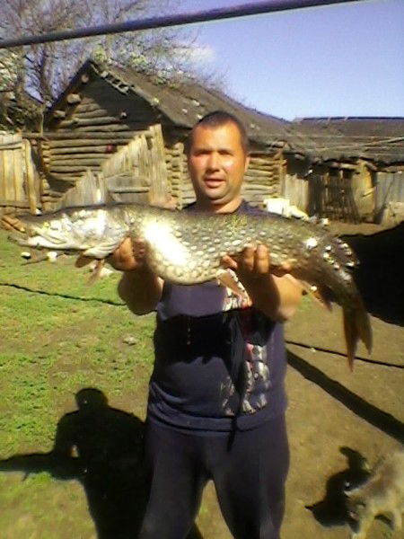 Ильдар Моисеев