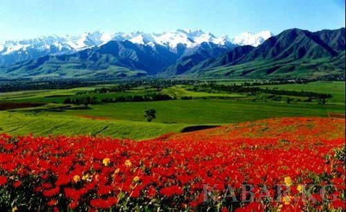 Гиэтб Гиэтб