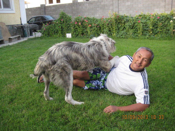 Турганжан Рахимбаев