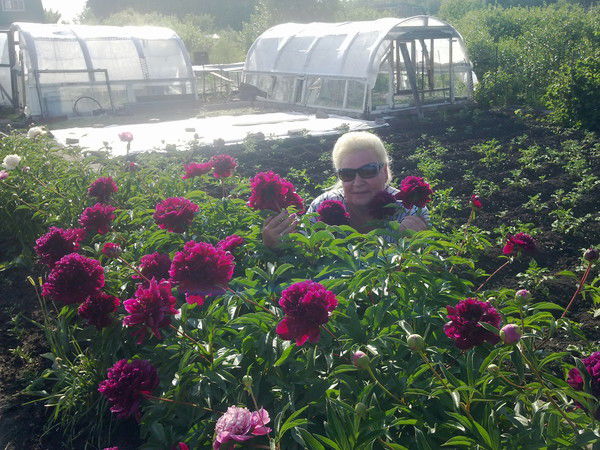 Фануза Ильясова