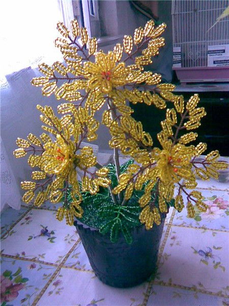 Наталья Кондратенко