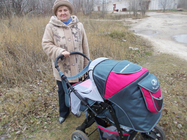 Елена Дружинина