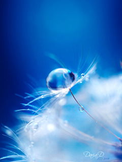 Татьяна Гришанова