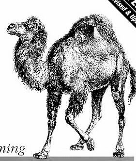 Игорь Впотемкин Клон