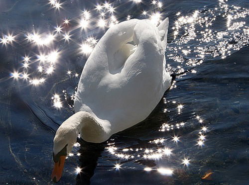 Настёна Настя