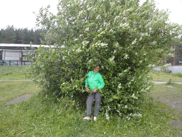 Кулагина Наталья