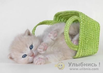 Карлыгаш Нургазинова