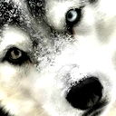 Константин Соколов