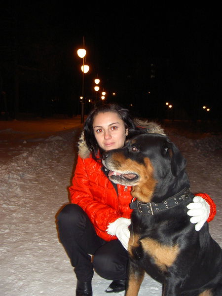 Елена Шевлякова