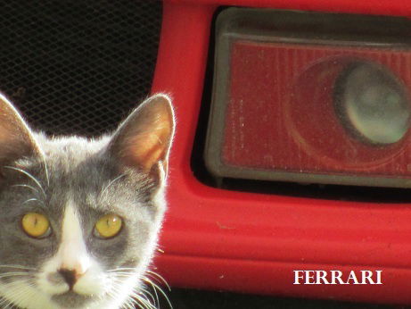 Петр Христофоров