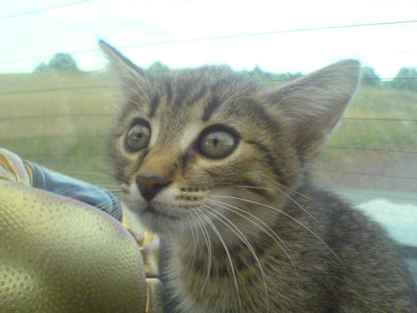 Евгений Иванов