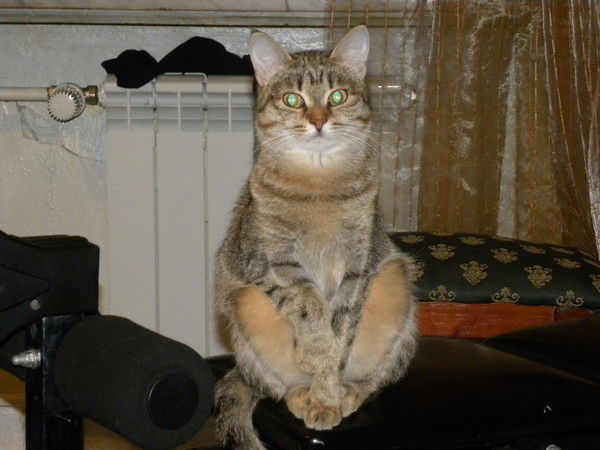 Екатерина Самохвалова