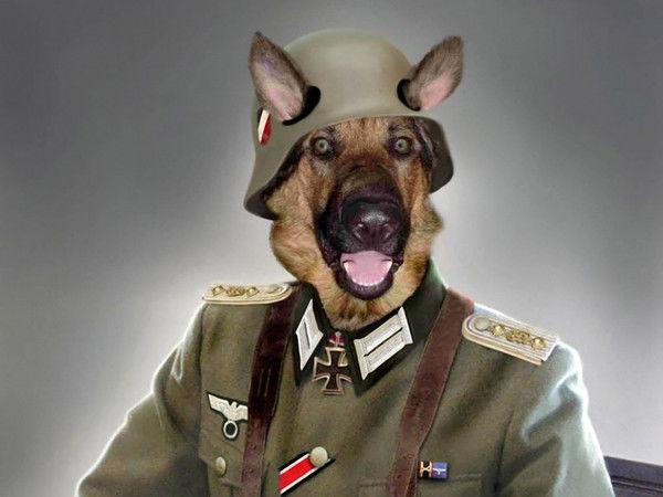 Алексей Масленников