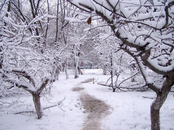 Сш Им Аманова Петропавловская